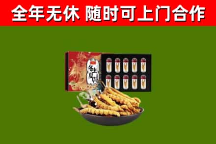 迁西县回收冬虫夏草价格